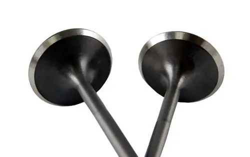 BLOX Racing High Compression Intake Valve Set for Honda F20C (set of 8)