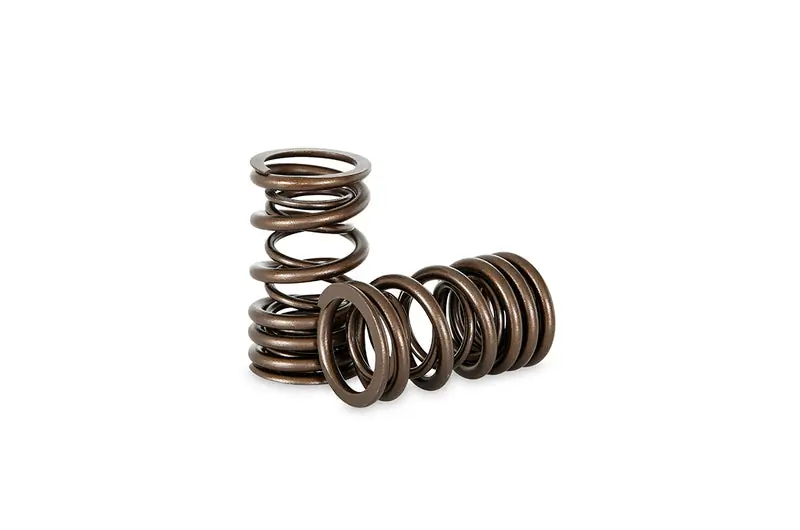 Kelford NISSAN A SERIES DUAL VALVE SPRING SET