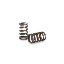 Kelford TOYOTA 3RZ-FE RACING VALVE SPRING SET
