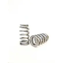 Kelford Ford Gen 1, 3.5 V6 Beehive Valve Spring, Drop in.