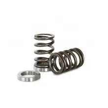 Kelford NISSAN RB25 RACE SPRING AND SEAT SET