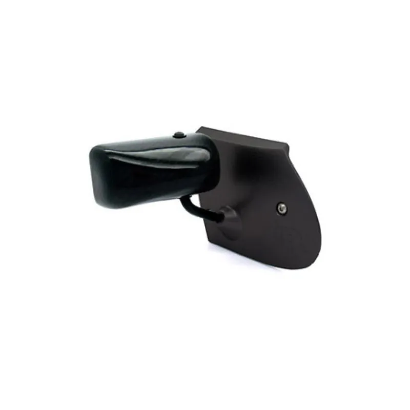 APR Performance Carbon Fiber Toyota Celica Formula GT3 Mirrors 2000-2005