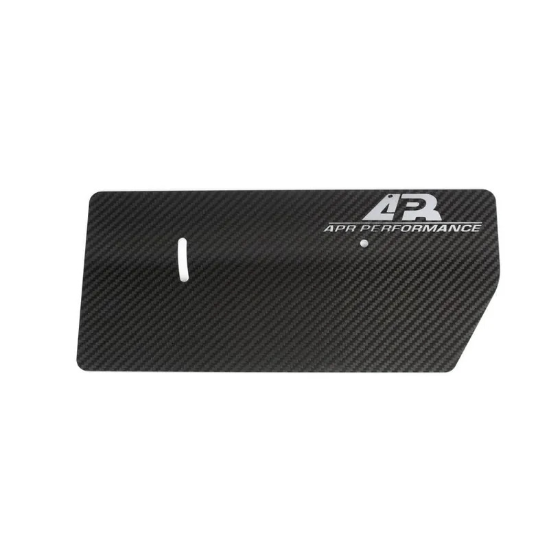 APR Performance GT-250 Carbon Fiber Side Plates