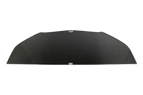 APR Performance Carbon Fiber Wind Splitter w/Rods