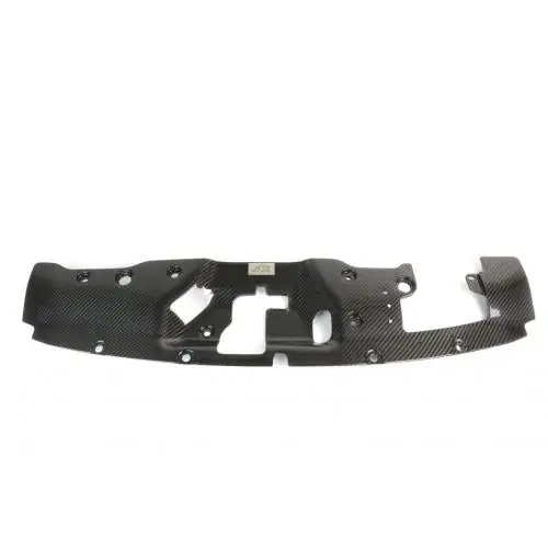 APR Performance Carbon Fiber Radiator Cooling Plate Center Piece - 2017-2020 Honda Civic Type R