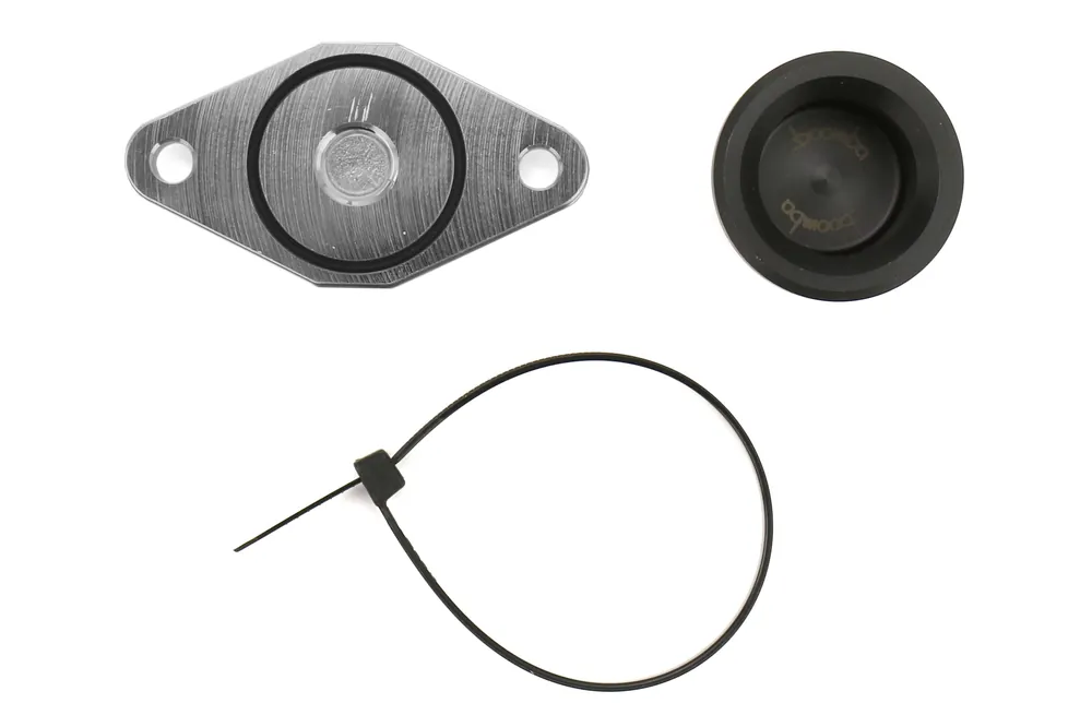 Boomba Racing Sound Symposer Delete Natural Aluminum - 2013-2018 Ford Focus ST