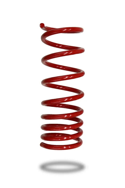 Pedders Sports Ryder Rear Spring - 2016-2018 Ford Focus RS