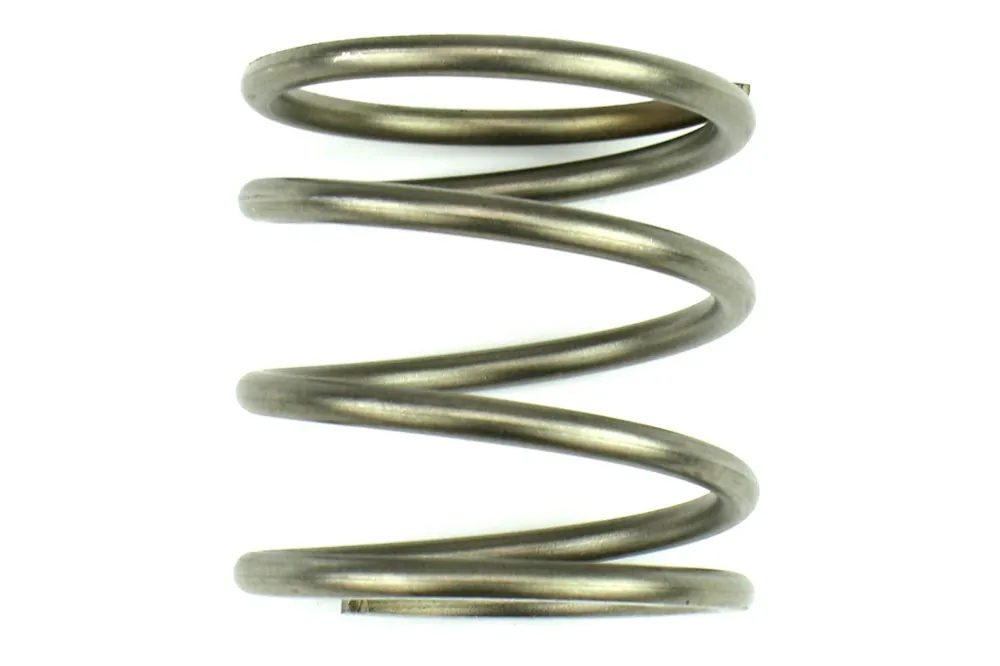 Go Fast Bits 10psi Wastgate Spring - Universal
