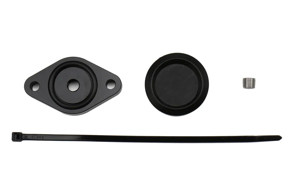 Torque Solution Sound Symposer Delete - 2013-2018 Ford Focus ST