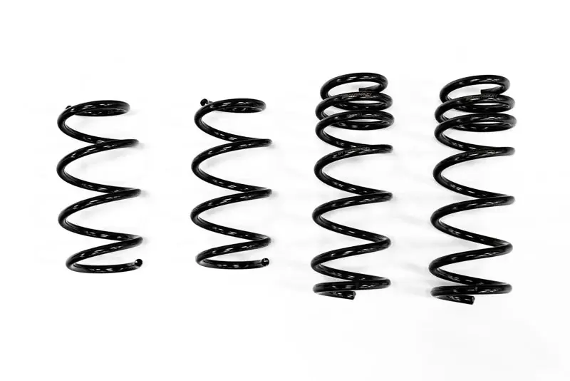 Paragon Performance C8 Corvette ZR1 Lowering Springs by Hyperco